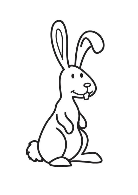 Coloriage Lapin Gratuit Imprimer Img