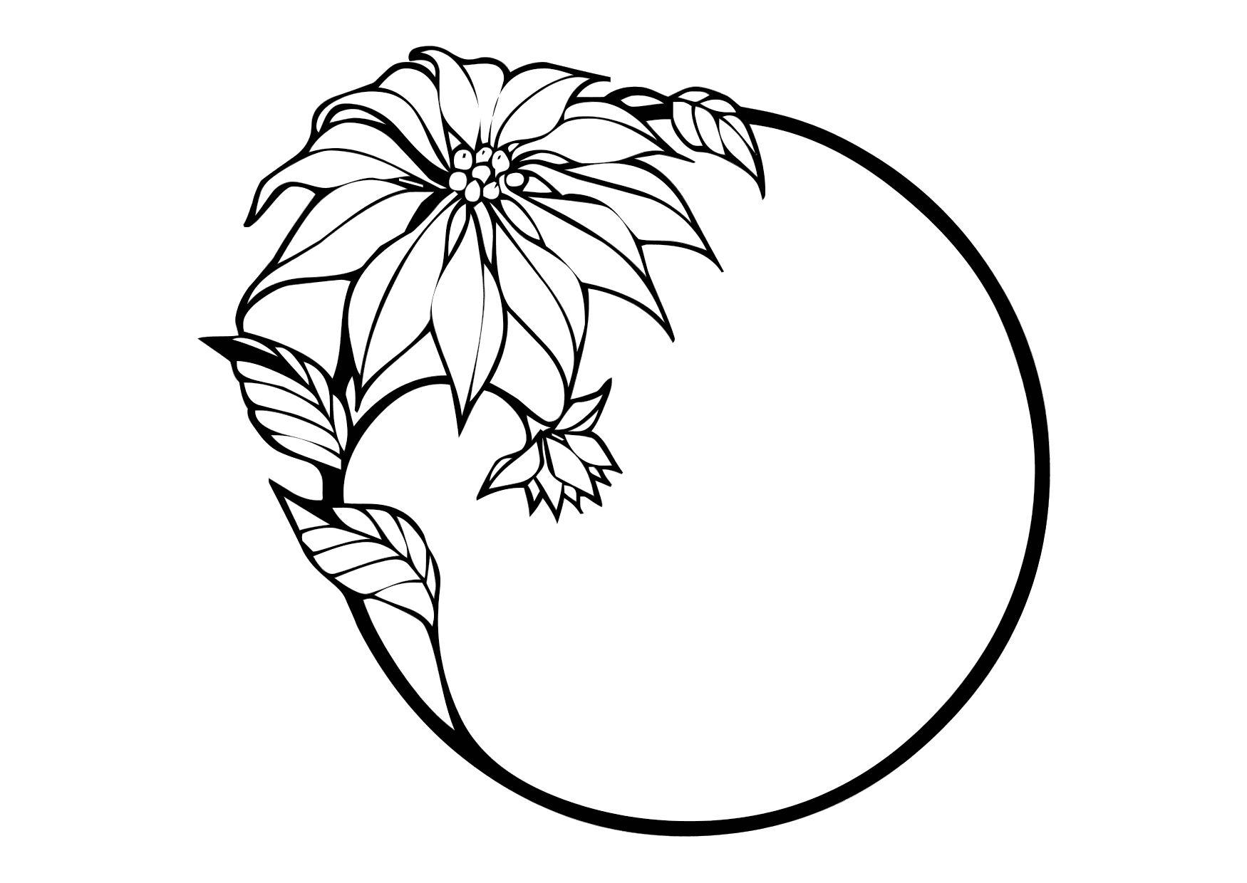 Coloriage fleur de Noël  Coloriages Gratuits à Imprimer  Dessin 11412