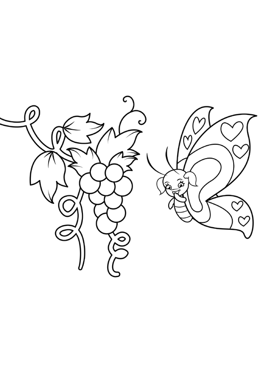 Coloriage papillon dans les raisins