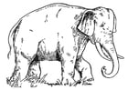 Coloriage Ã©lÃ©phant