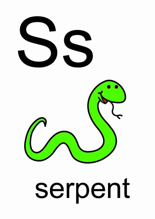 s