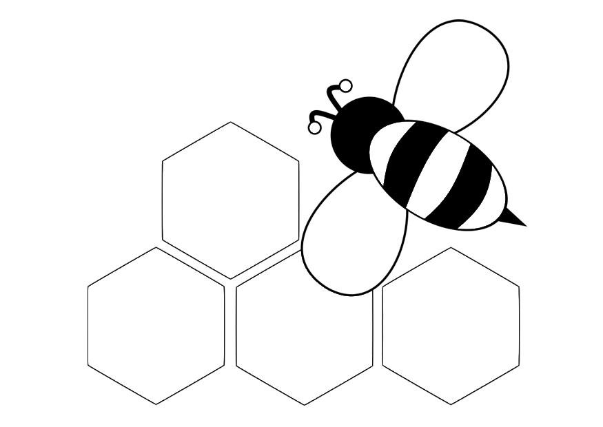 Coloriage abeille - derriA¨re