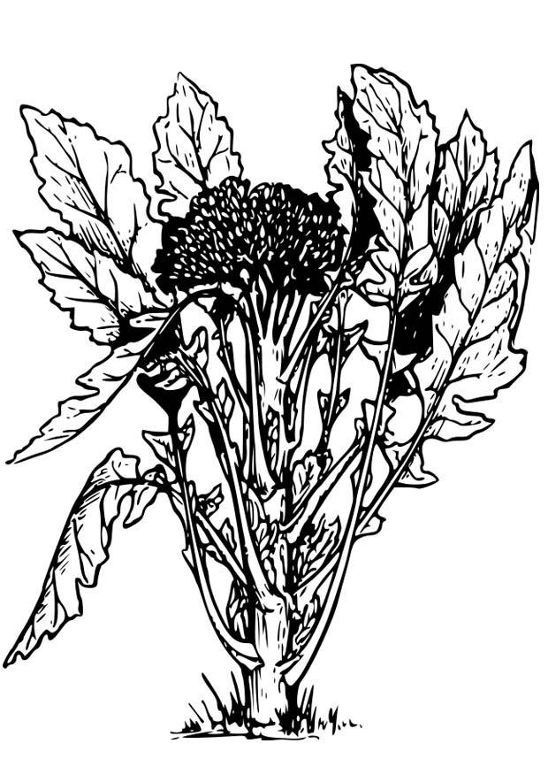 Coloriage brocoli