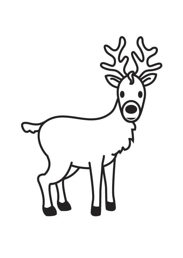 Coloriage cerf