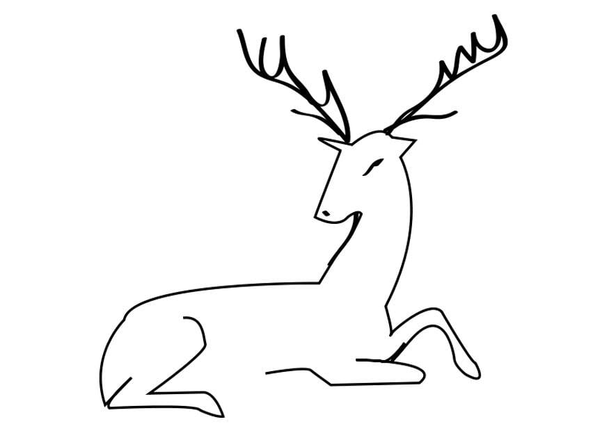 Coloriage cerf