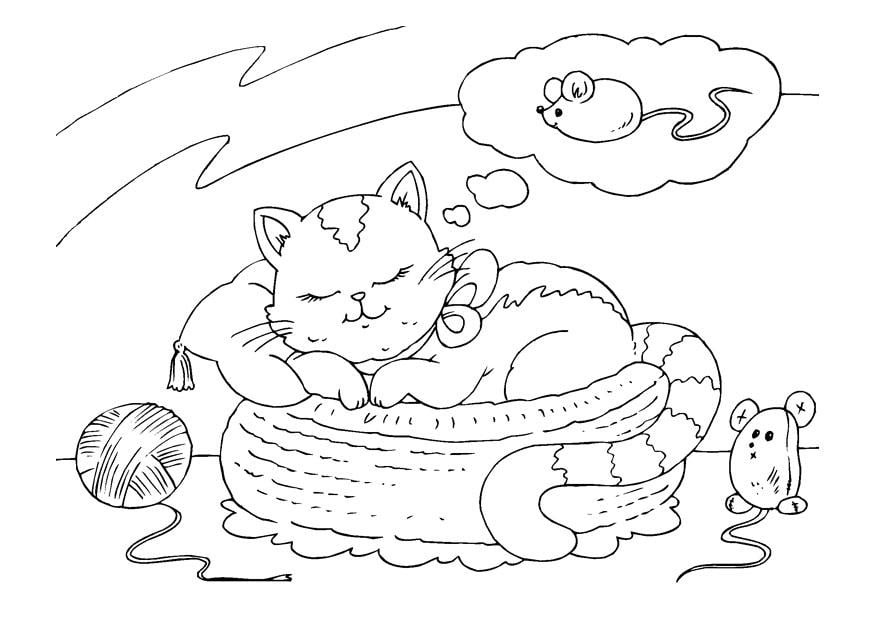 Coloriage chat qui rA¨ve