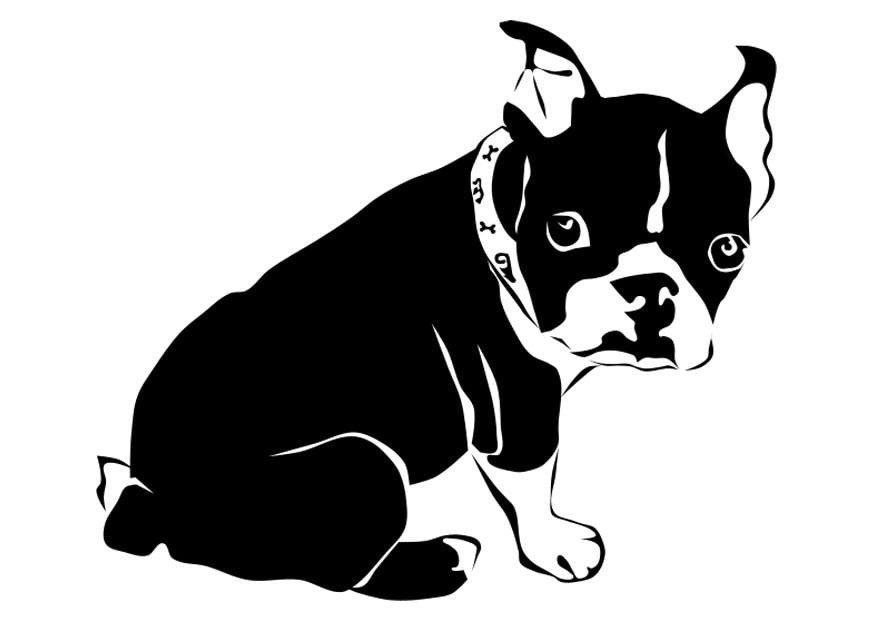 Coloriage chien - bouledogue franA§ais