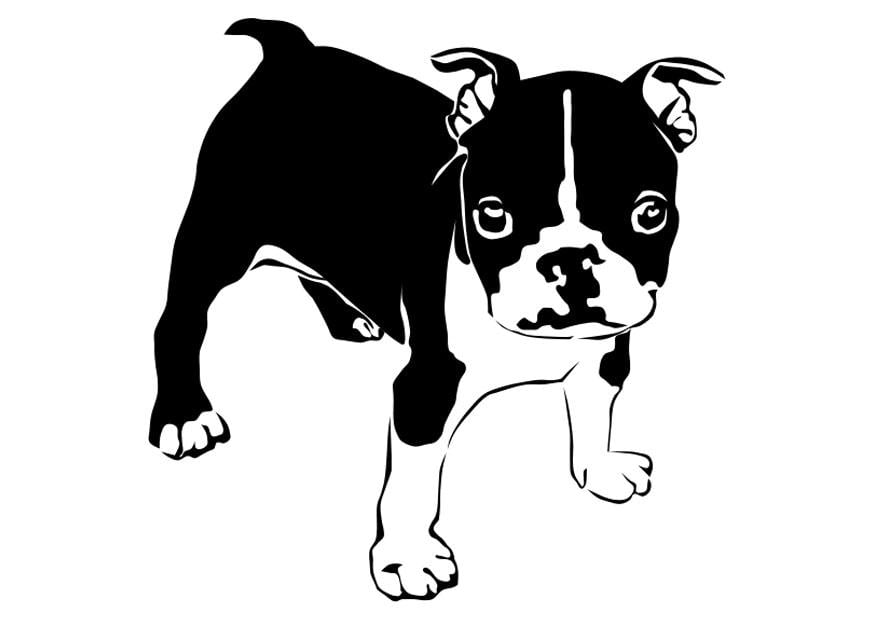 Coloriage chien - bouledogue franA§ais