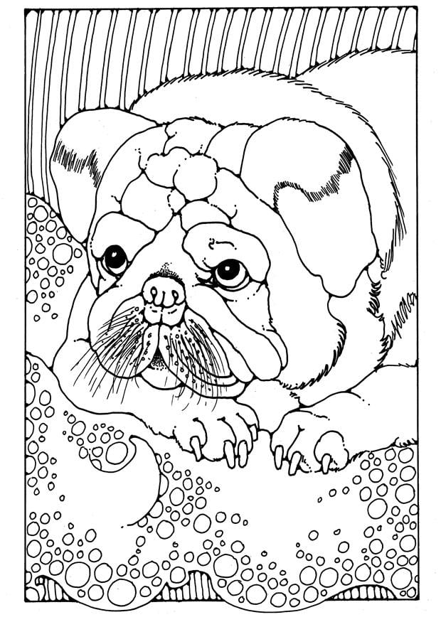 Coloriage chiot