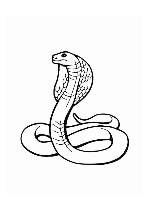 Coloriage cobra