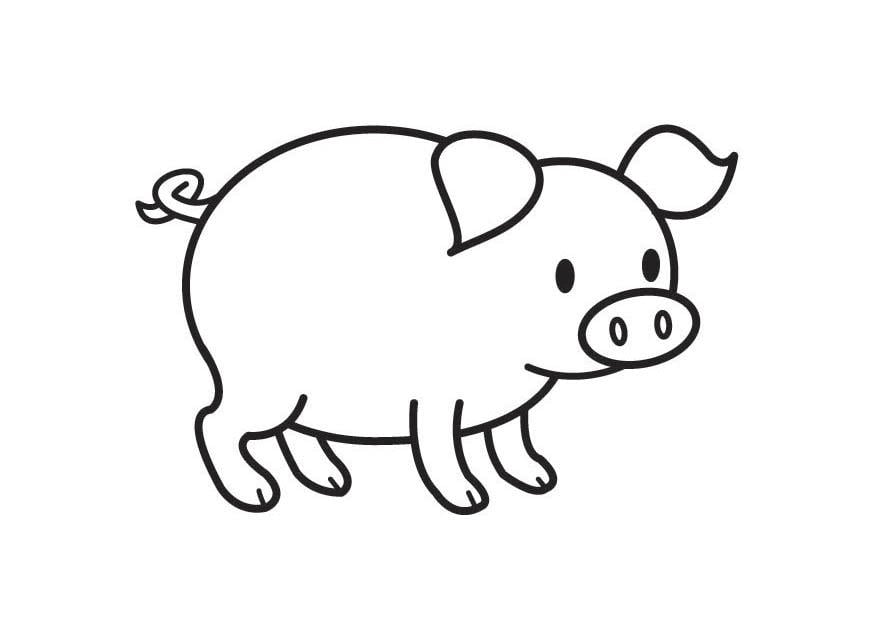 Coloriage cochon