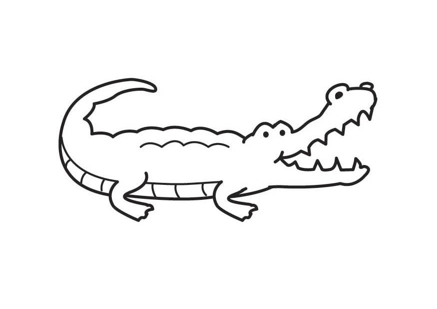 Coloriage crocodile