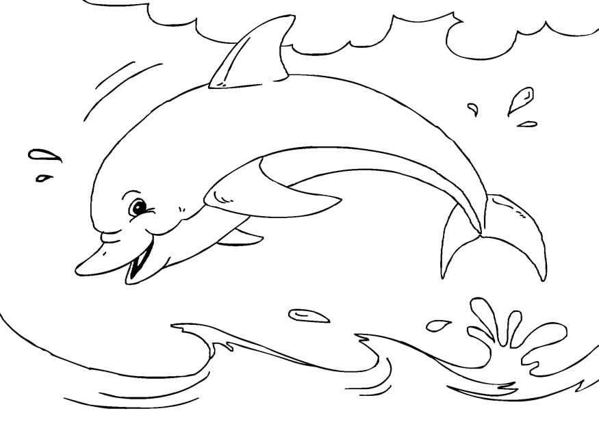 Coloriage dauphin