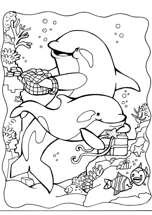 Coloriage dauphins