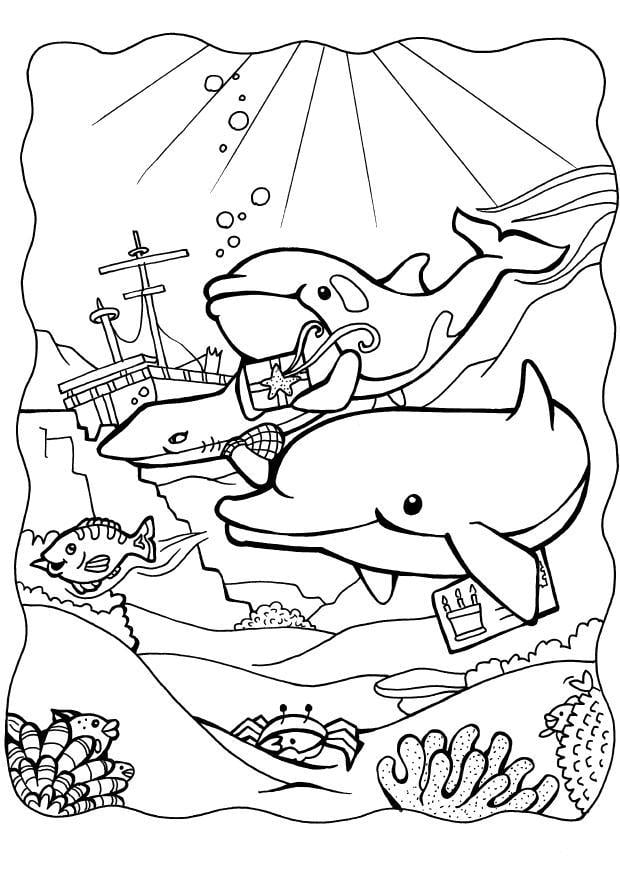 Coloriage dauphins