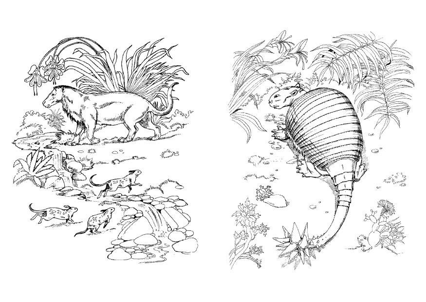 Coloriage dino et herbivore