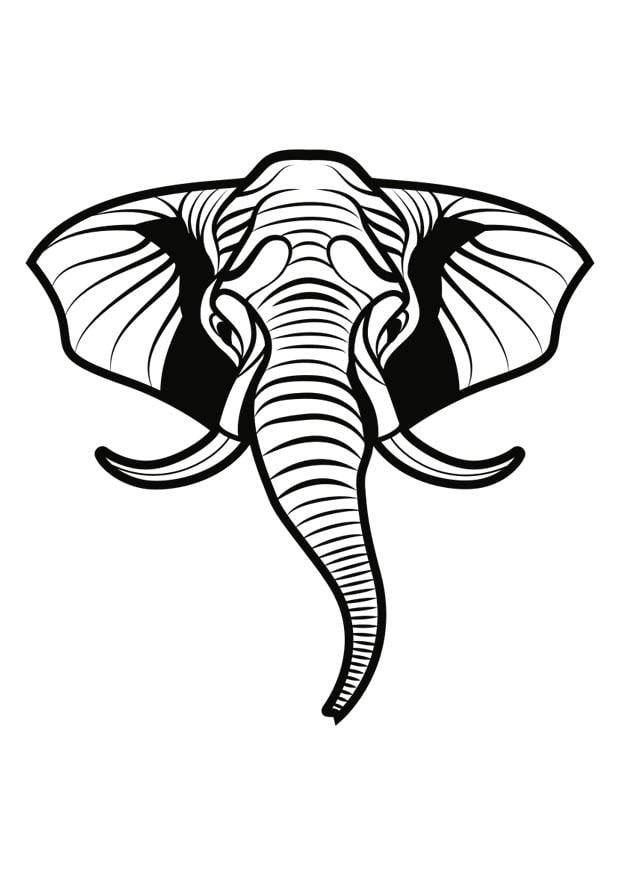 Coloriage elephant