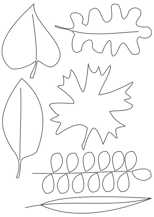 Coloriage feuilles