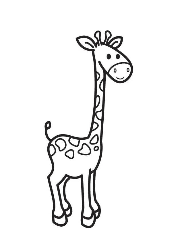 Coloriage girafe