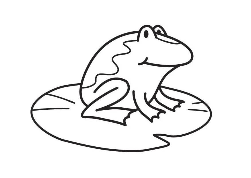 Coloriage grenouille