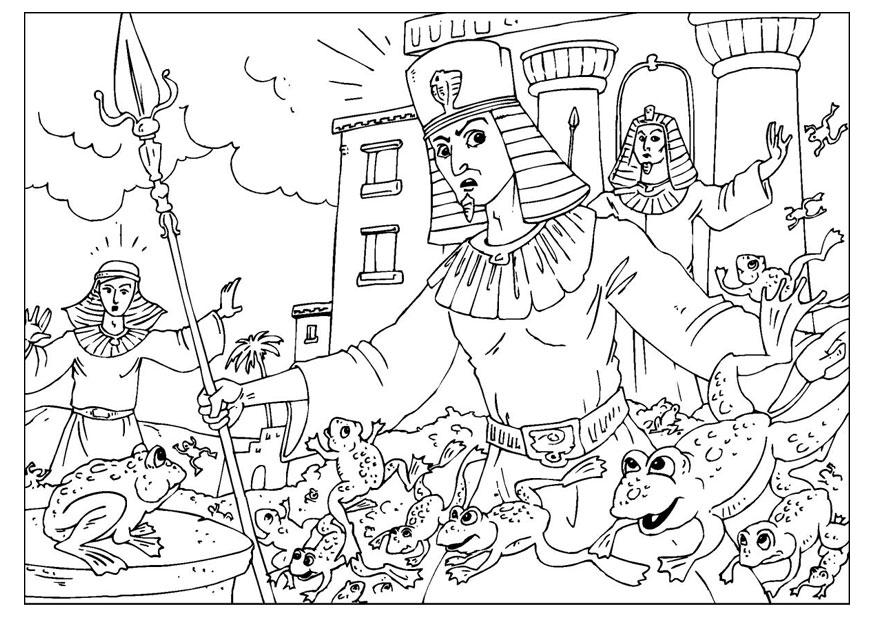 Coloriage invasions de grenouilles