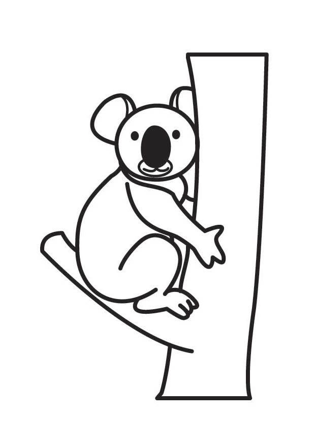 Coloriage koala