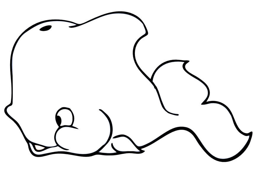 Coloriage la baleine