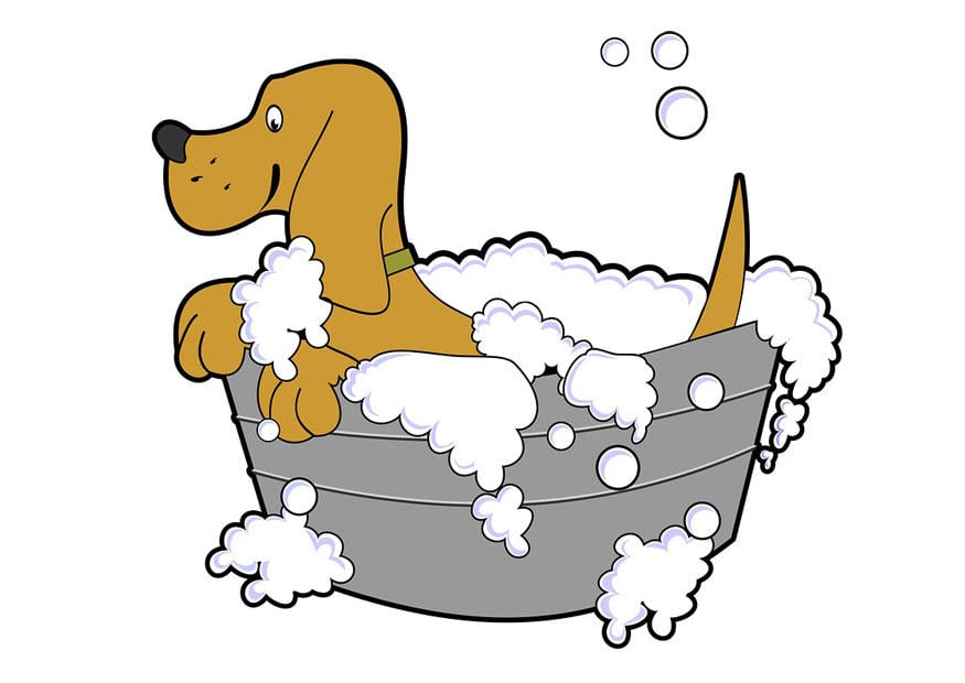 Coloriage lavage de chien