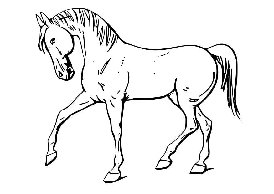 Coloriage le cheval