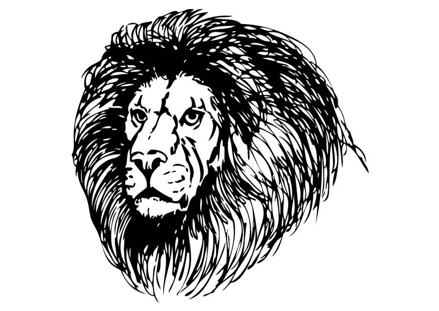 Coloriage lion