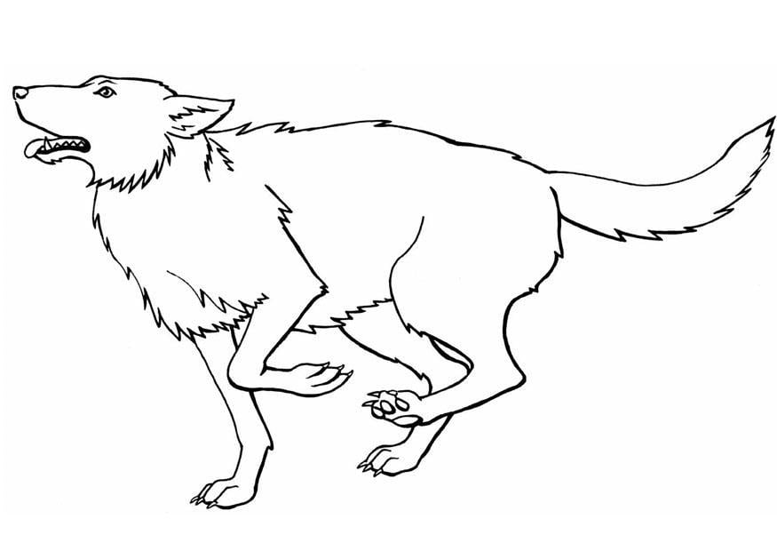 Coloriage loup