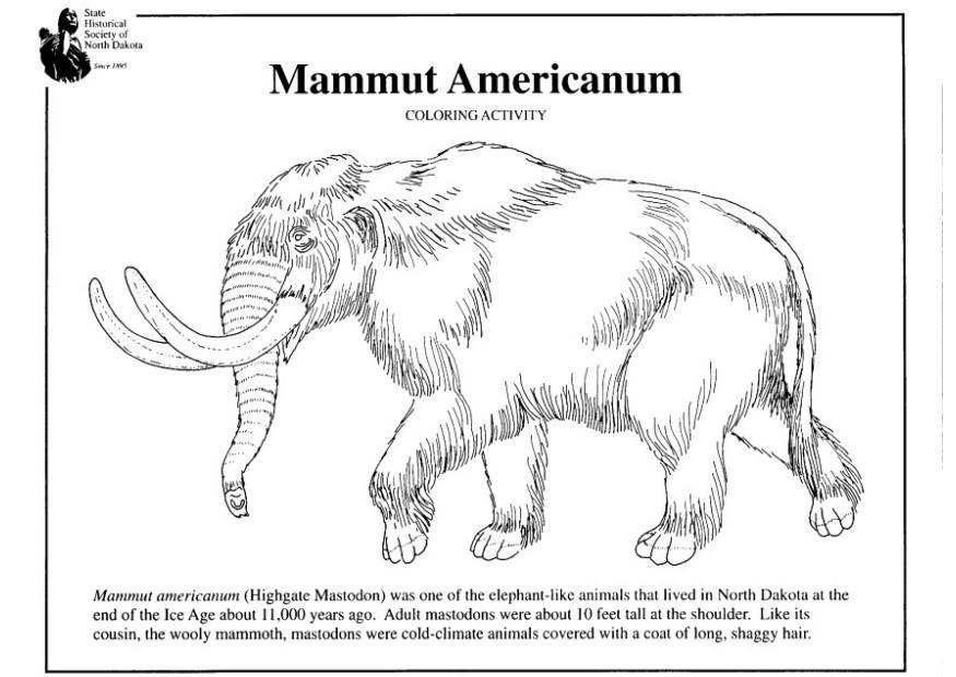 Coloriage mammouth amA©ricain