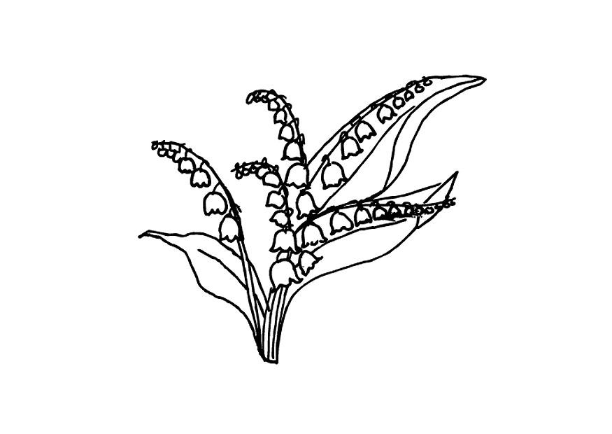 Coloriage muguet