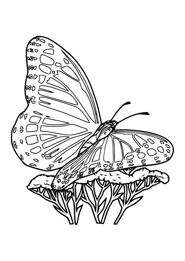 Coloriage papillon