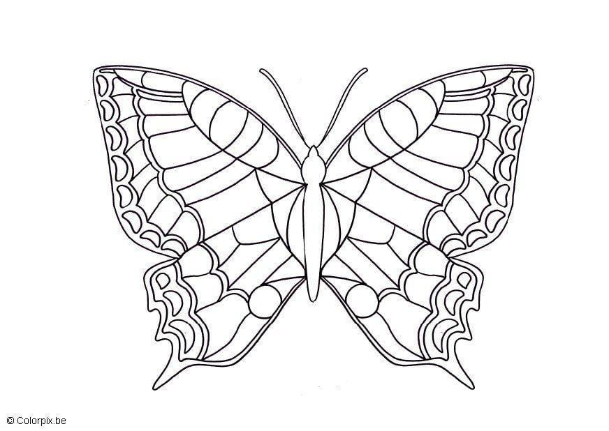 Coloriage papillon