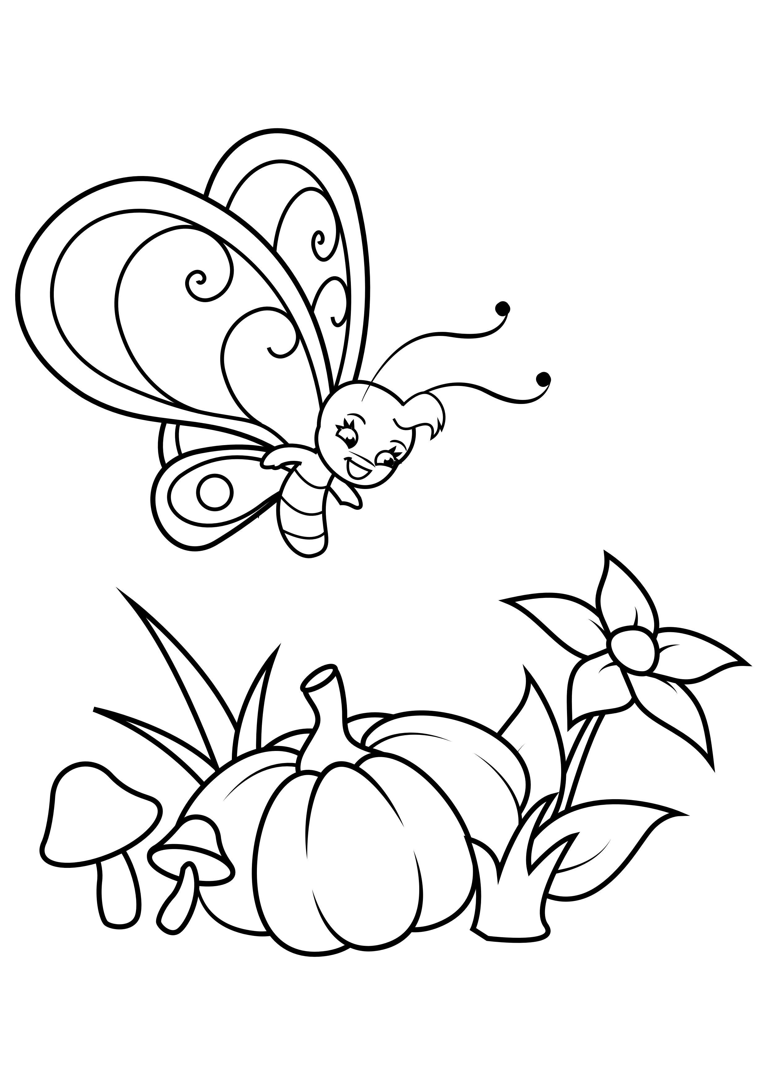 Coloriage papillon au-dessus de la fleur et de la citrouille