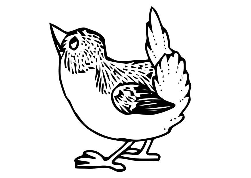 Coloriage petit oiseau