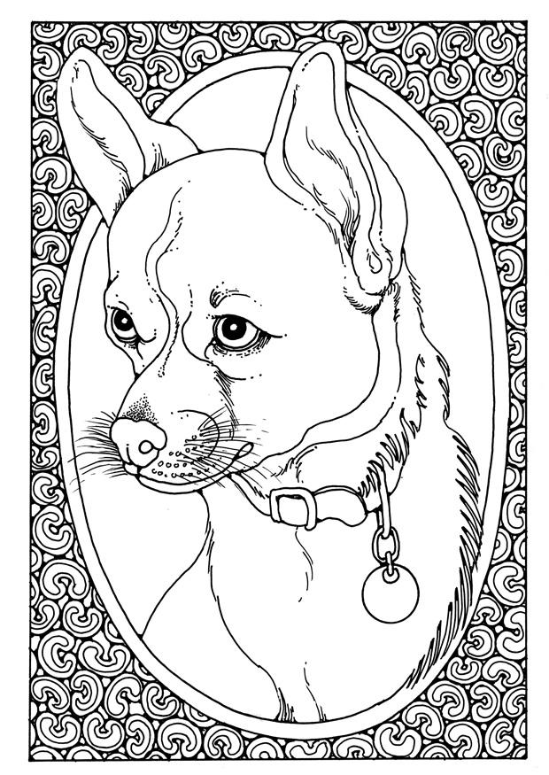 Coloriage portrait de chien