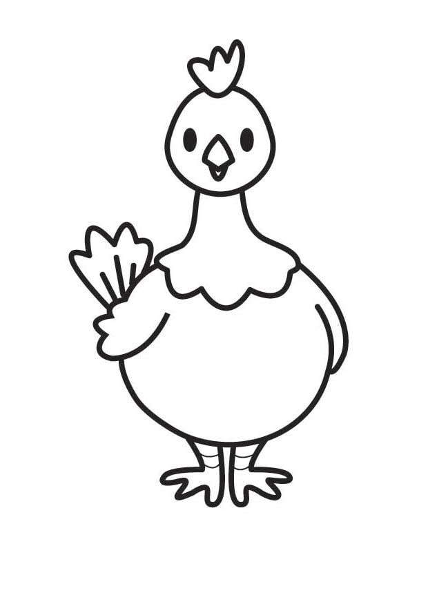 Coloriage poule