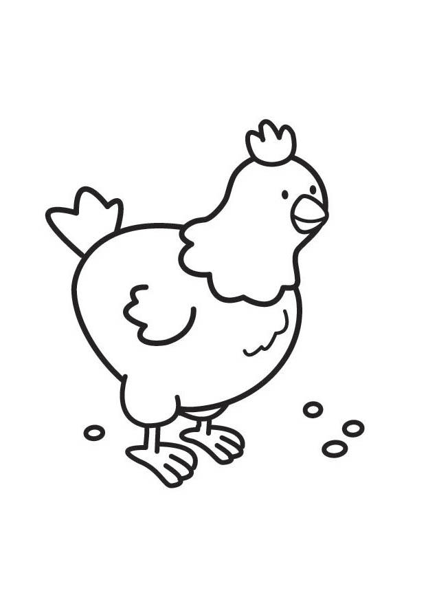 Coloriage poule