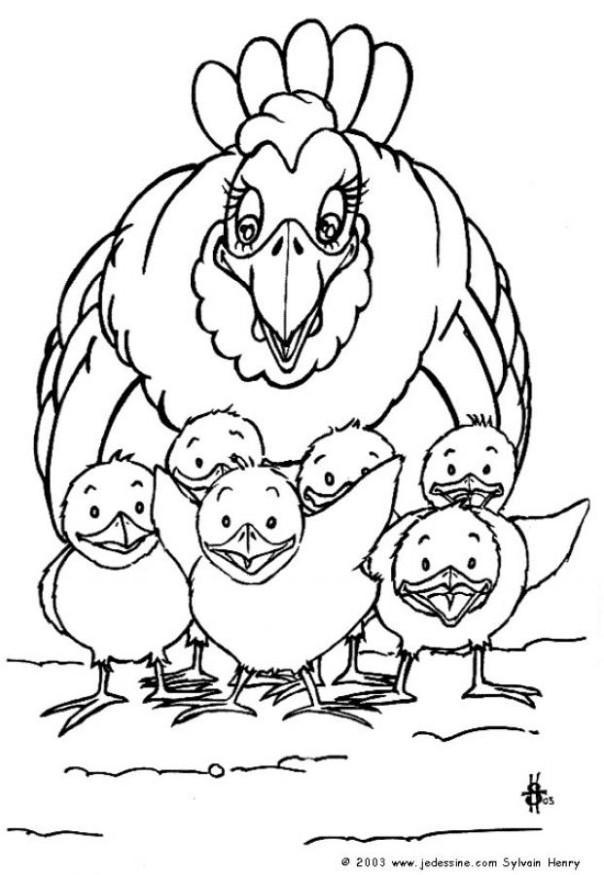 Coloriage poule et poussins