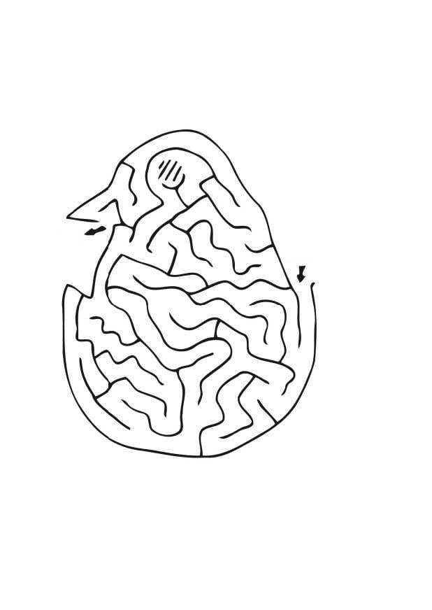 Coloriage poussin labyrinthe