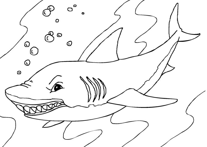 Coloriage requin