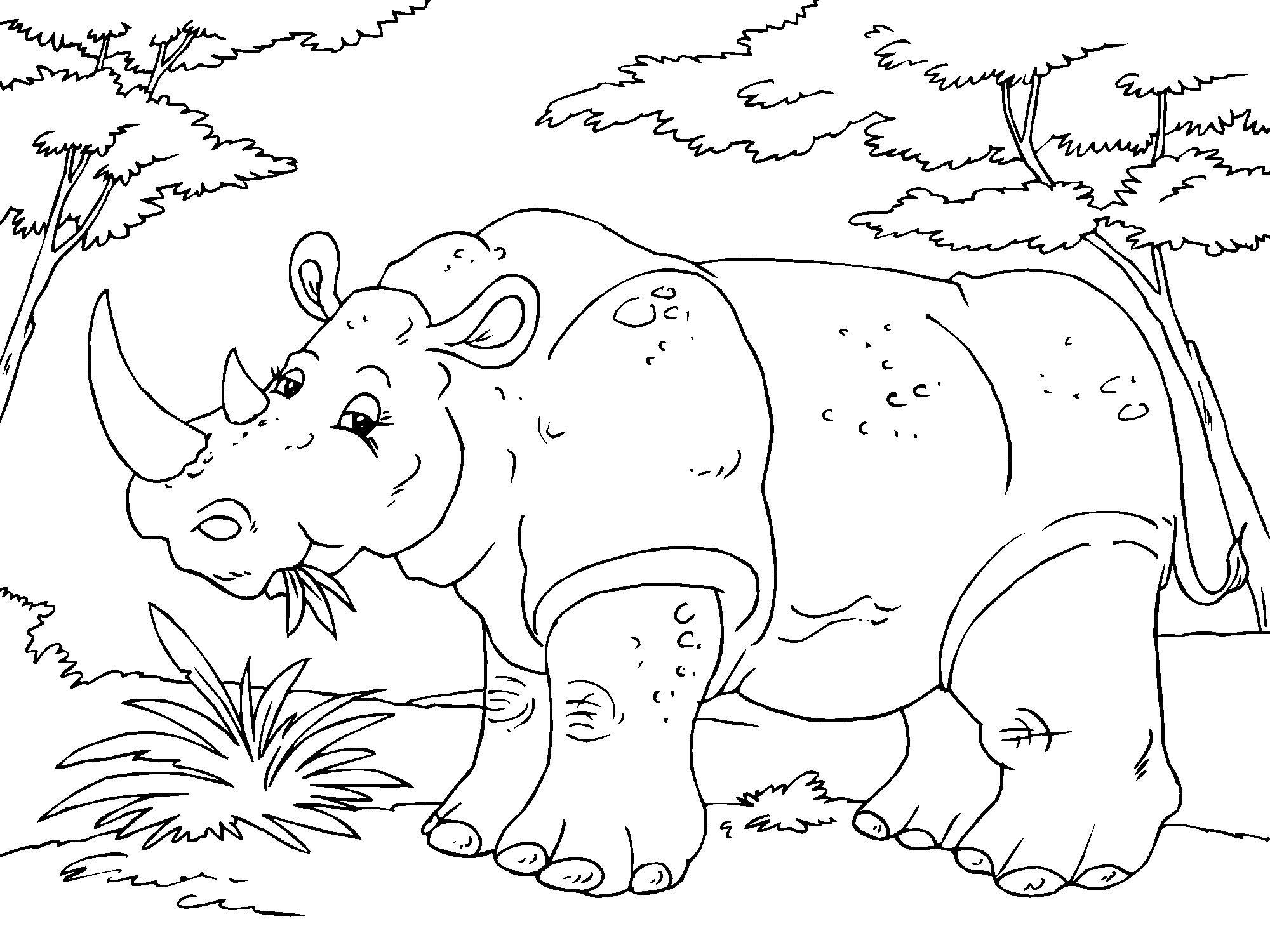 Coloriage rhinocA©ros