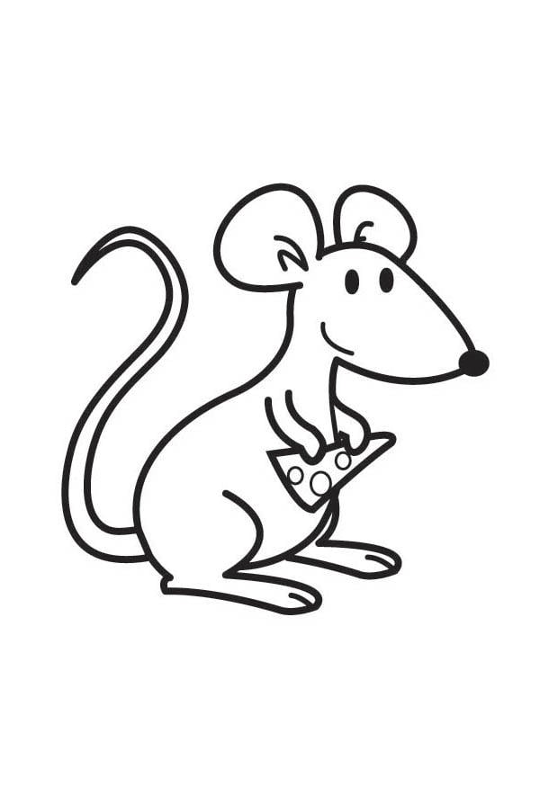 Coloriage souris avec fromage