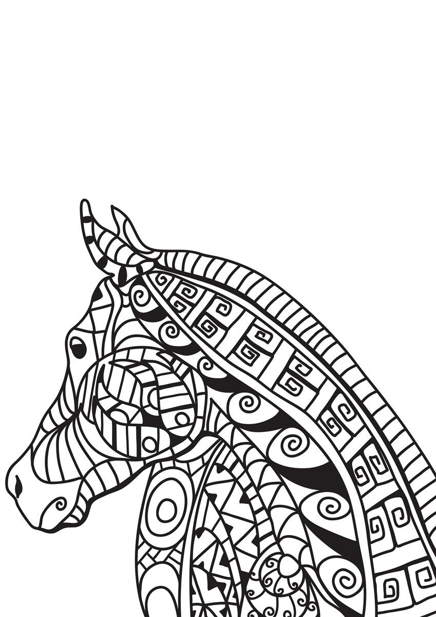 Coloriage tAªte de cheval