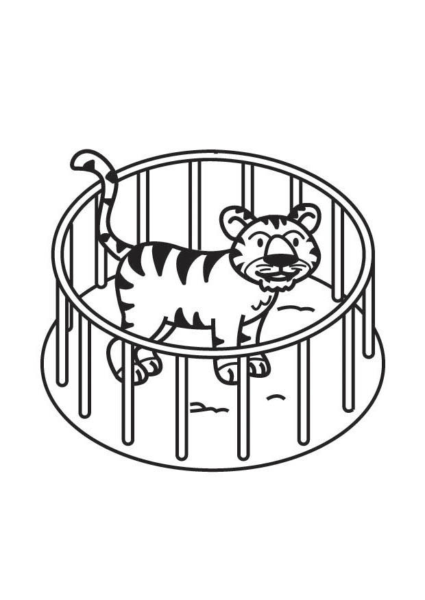 Coloriage tigre en cage