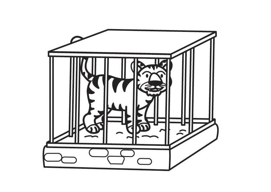 Coloriage tigre en cage