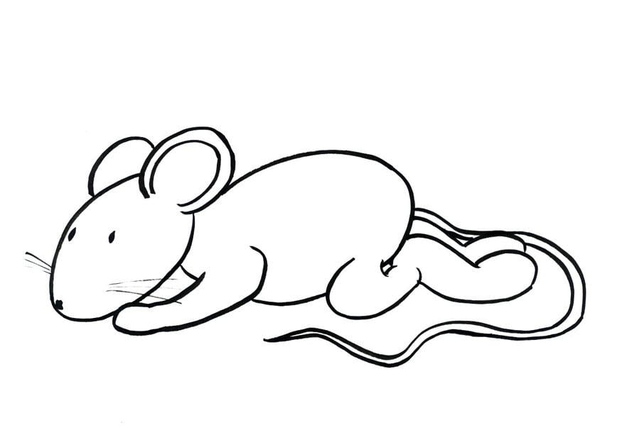 Coloriage transi, la souris