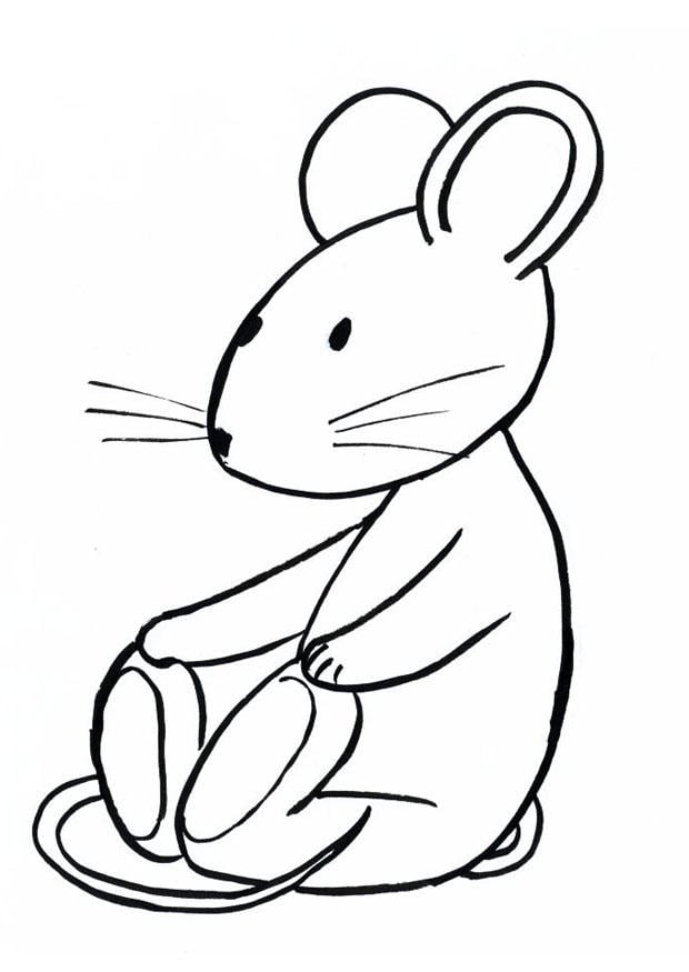 Coloriage transi, la souris